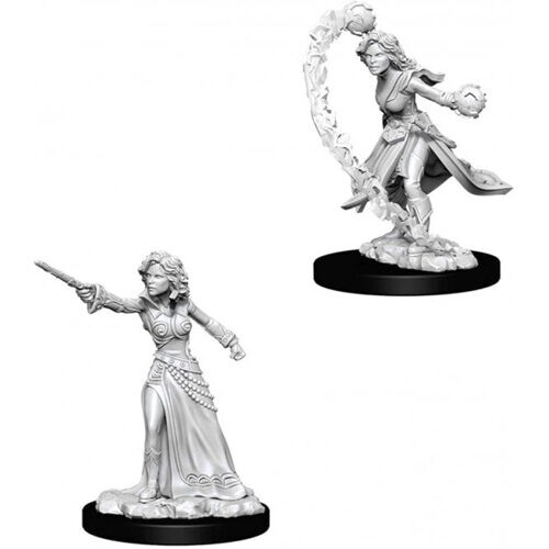 Фигурки Pathfinder Battles Deep Cuts Unpainted Miniatures (Wave 1): Female Human Wizard WizKids
Фигурки Pathfinder Battles Deep Cuts Unpainted Miniatures (Wave 1): Female Human Wizard WizKids