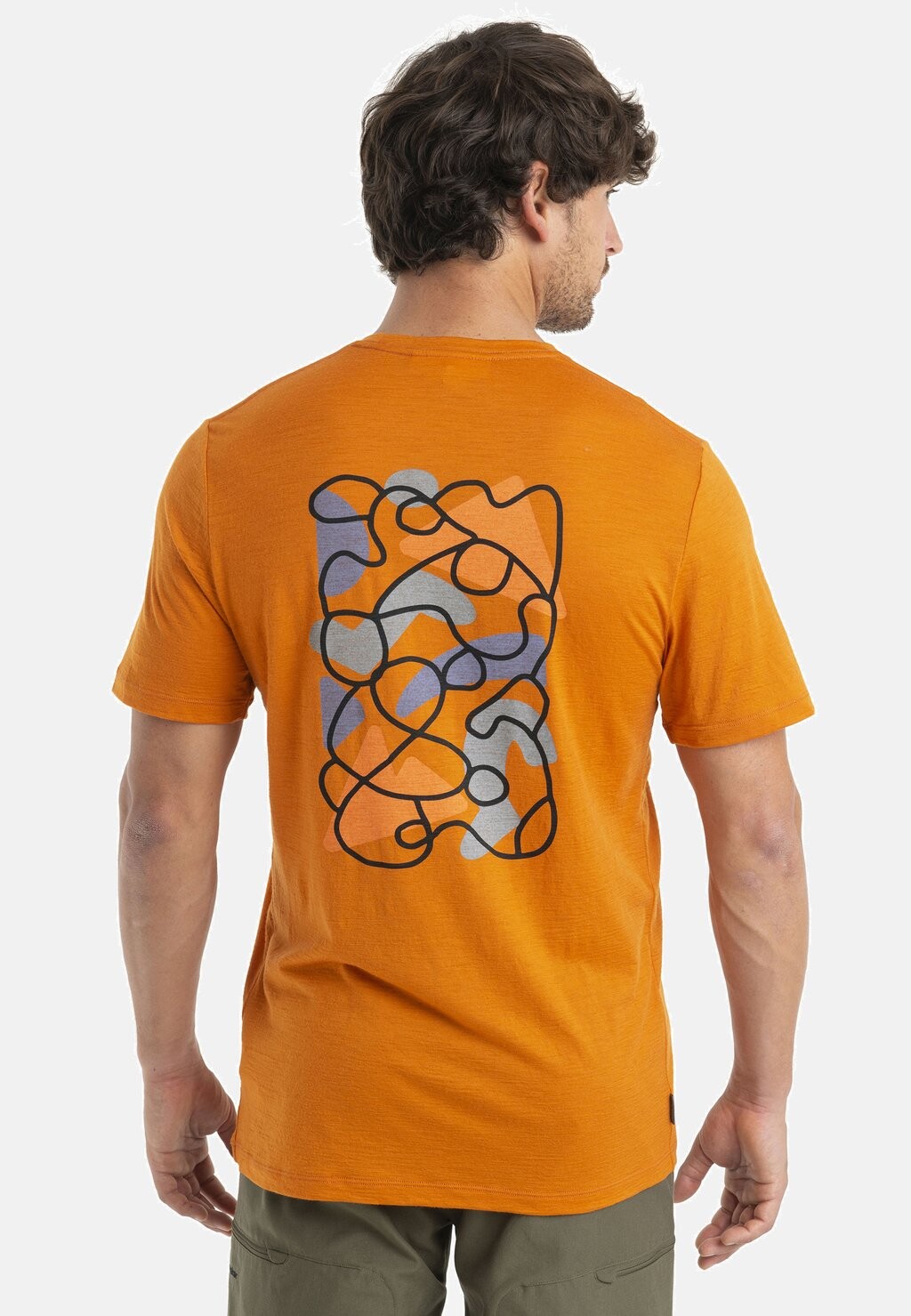 Футболка с принтом Merino 150 Tech Lite Ii Ss Tee Community Icebreaker, цвет earth
Футболка с принтом Merino 150 Tech Lite Ii Ss Tee Community Icebreaker, цвет earth