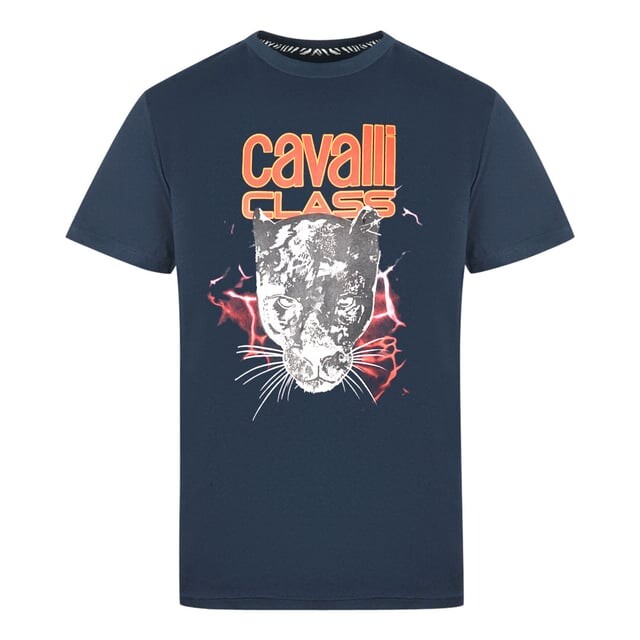 Темно-Синяя футболка с узором молния и пантера Cavalli class Cavalli Class, синий
Темно-Синяя футболка с узором молния и пантера Cavalli class Cavalli Class, синий