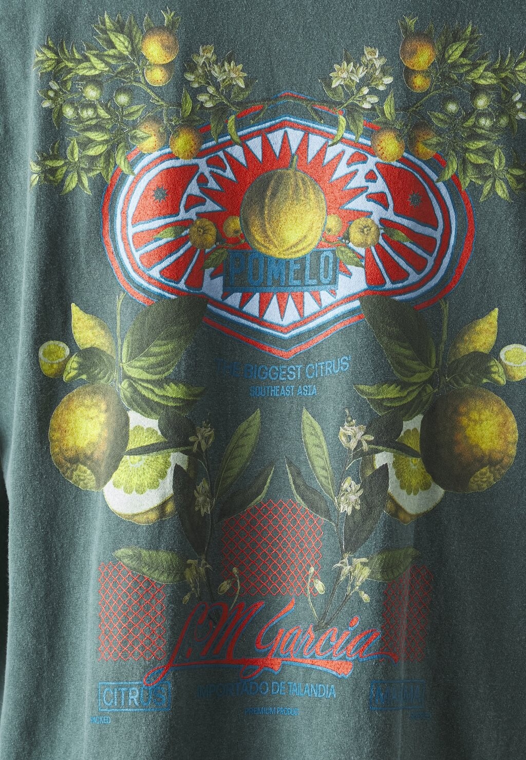 Футболка с набивным рисунком Pomelo Tee Unisex BDG Urban Outfitters, темно-зеленая
Футболка с набивным рисунком Pomelo Tee Unisex BDG Urban Outfitters, темно-зеленая