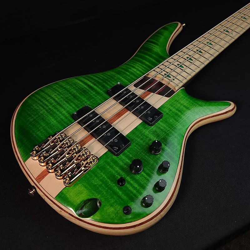 

Ibanez SR5FMDX EGL Премиум 5-струнная бас-гитара с сумкой