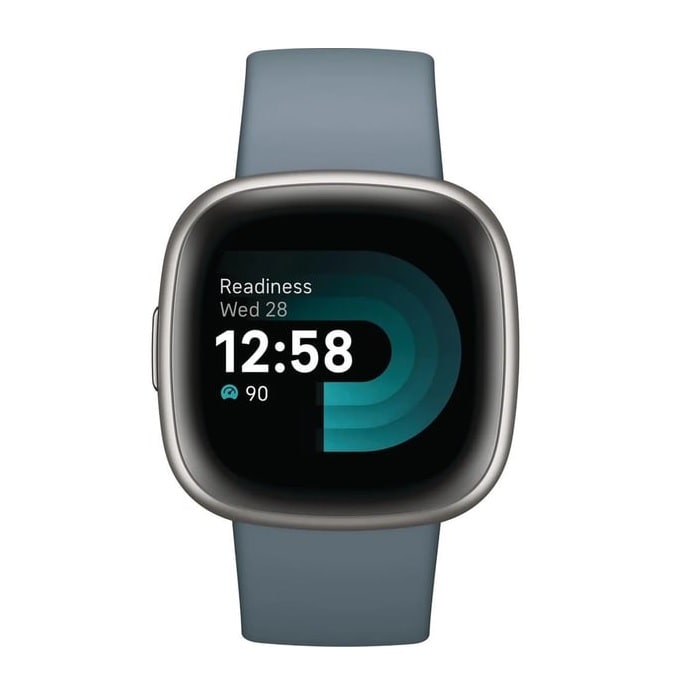 цена Умные часы Fitbit FB523SRAG Versa 4, синий/платиновый