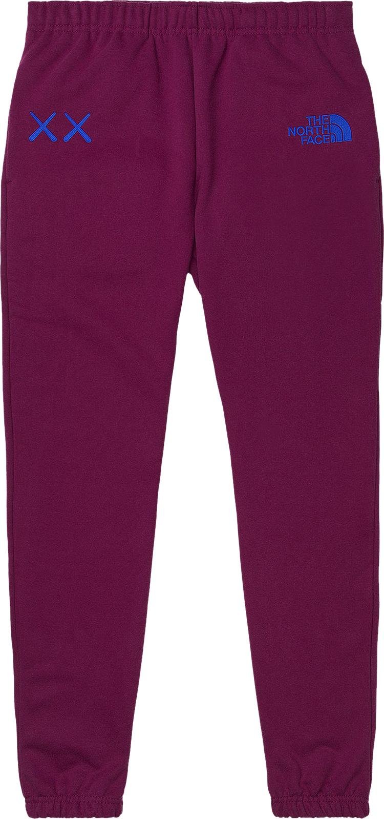 Спортивные брюки The North Face x KAWS Sweatpants 'Pamplona Purple', фиолетовый - фото