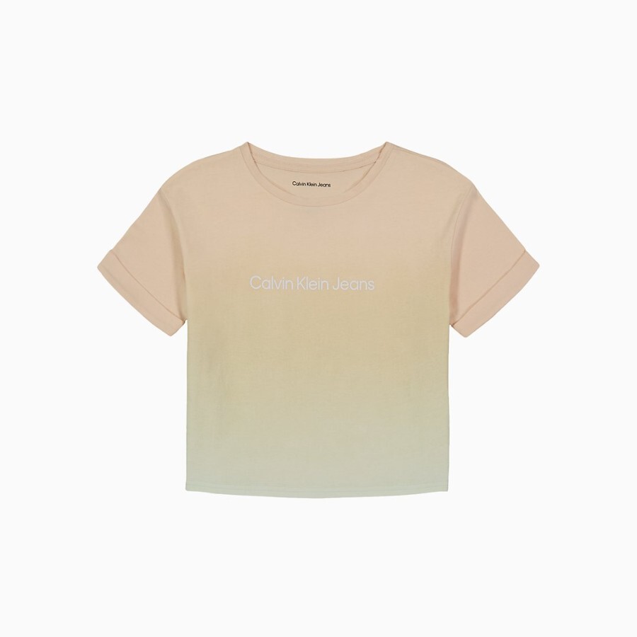 

Футболка Calvin Klein Girls Ombre Crewneck, песочный