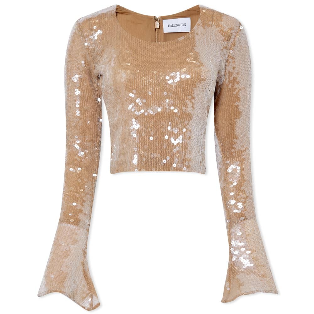 

Топ 16Arlington Polaris Sequin Top