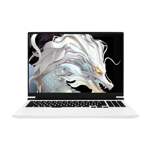 Игровой ноутбук Mechrevo Jiaolong 16 Pro 16'', 16ГБ/1ТБ, R9-7945HX, RTX 4060, белый, английская клавиатура