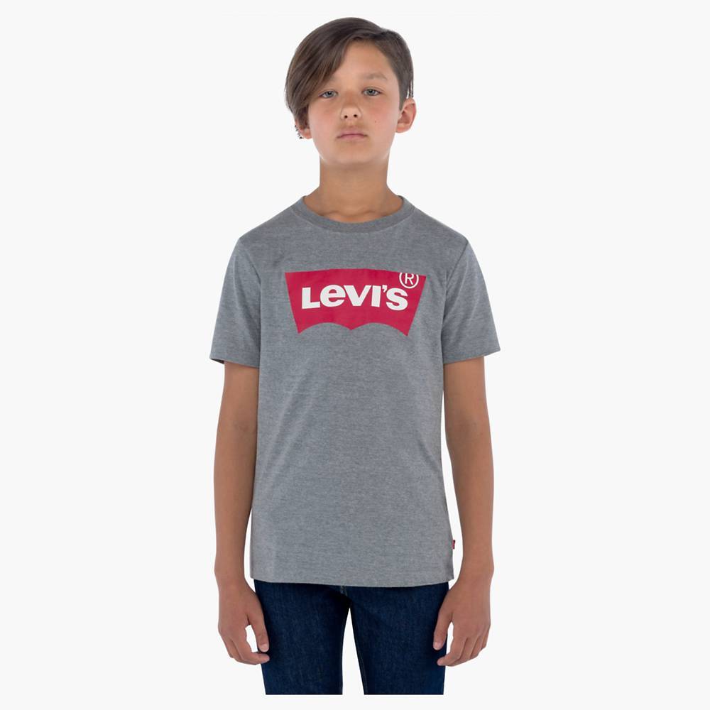 

Футболка Levi's, серый