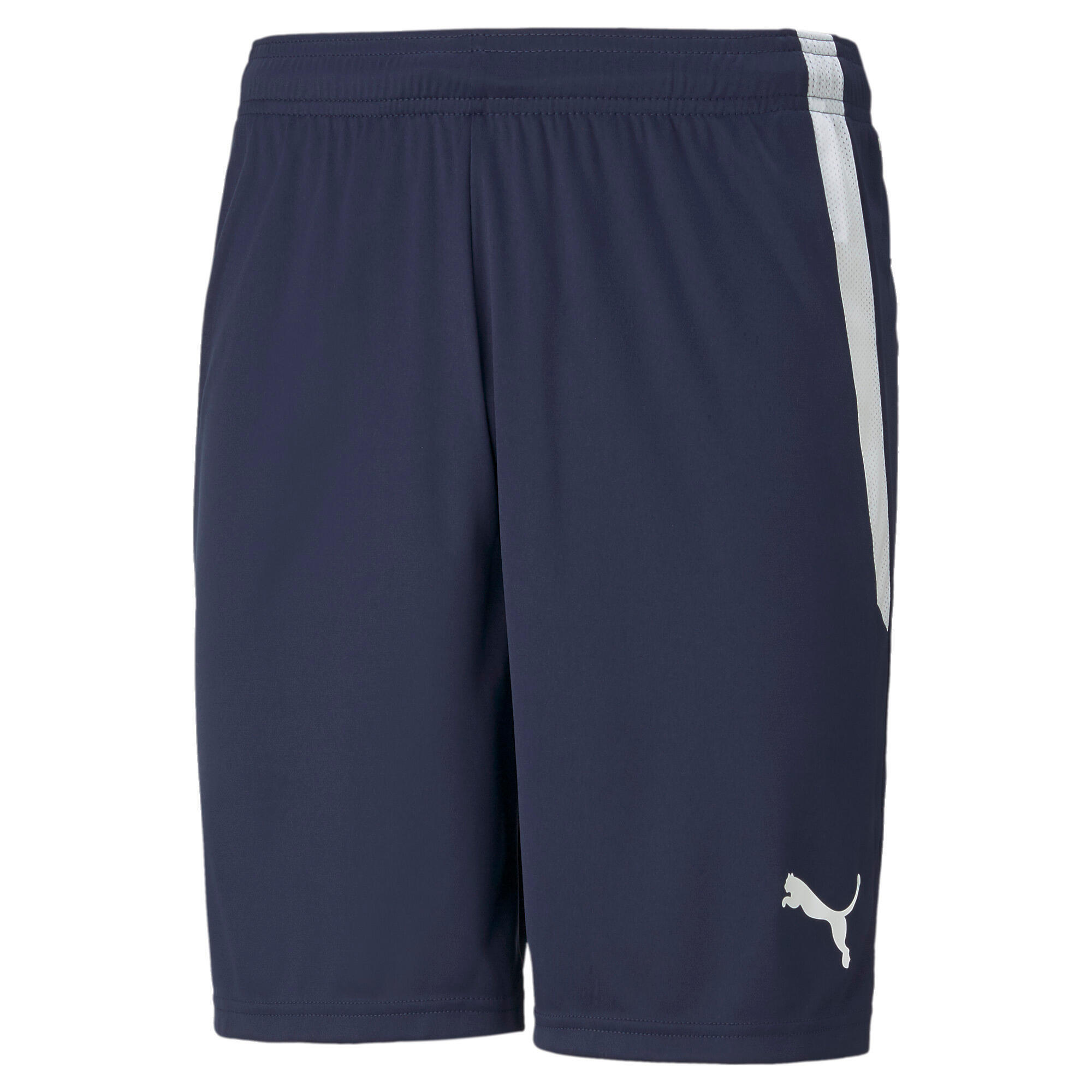 

TeamLIGA Короткие брюки PUMA, синий/темно-синий/белый