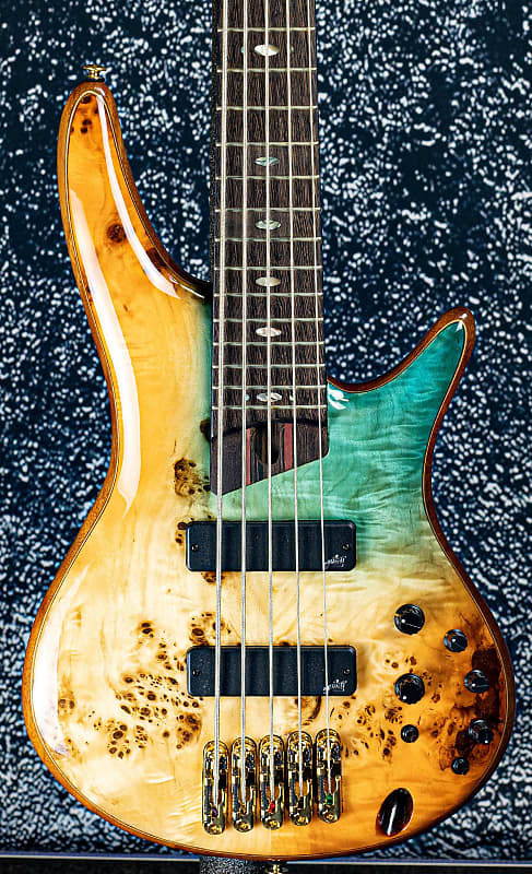 

Ibanez SR1605DW Осеннее закатное небо