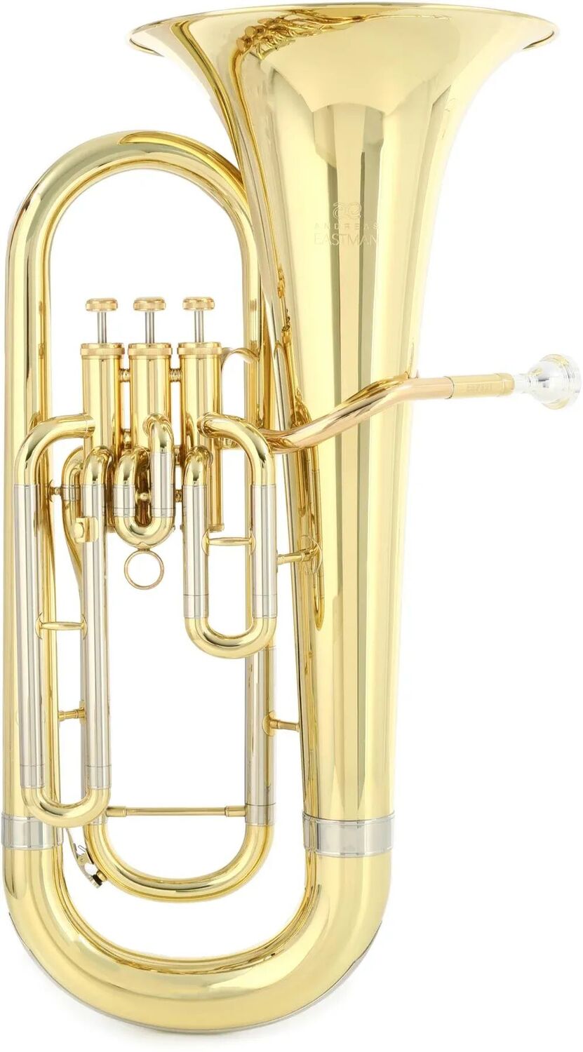 

Студенческий эуфониум Eastman EEP321 — прозрачный лак
