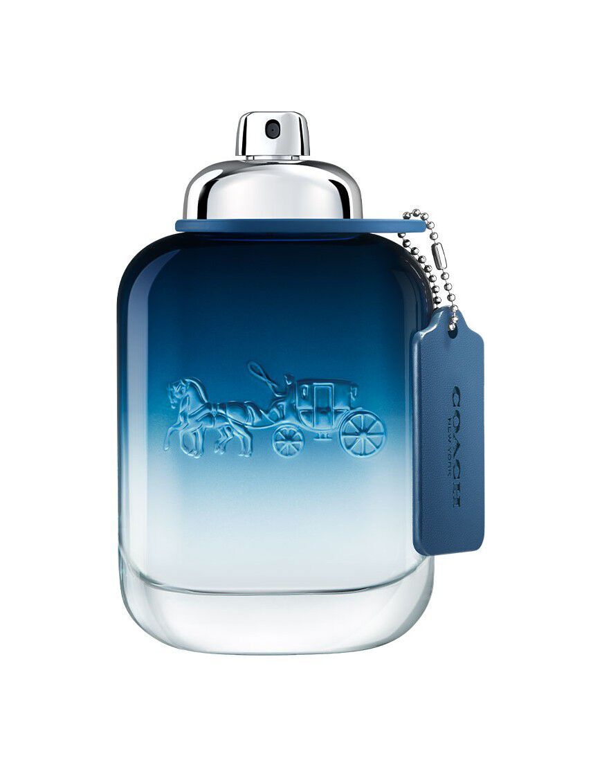 

Мужская туалетная вода Coach Blue, 100 мл