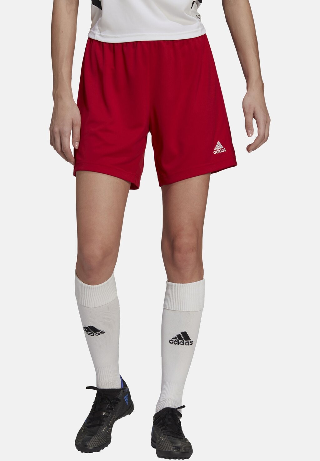

Спортивные шорты Entrada 22 Adidas, цвет rotweiss