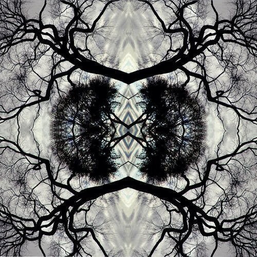 

Виниловая пластинка Rudolph, Adam - Sonic Mandala Go: Organic Orchestra