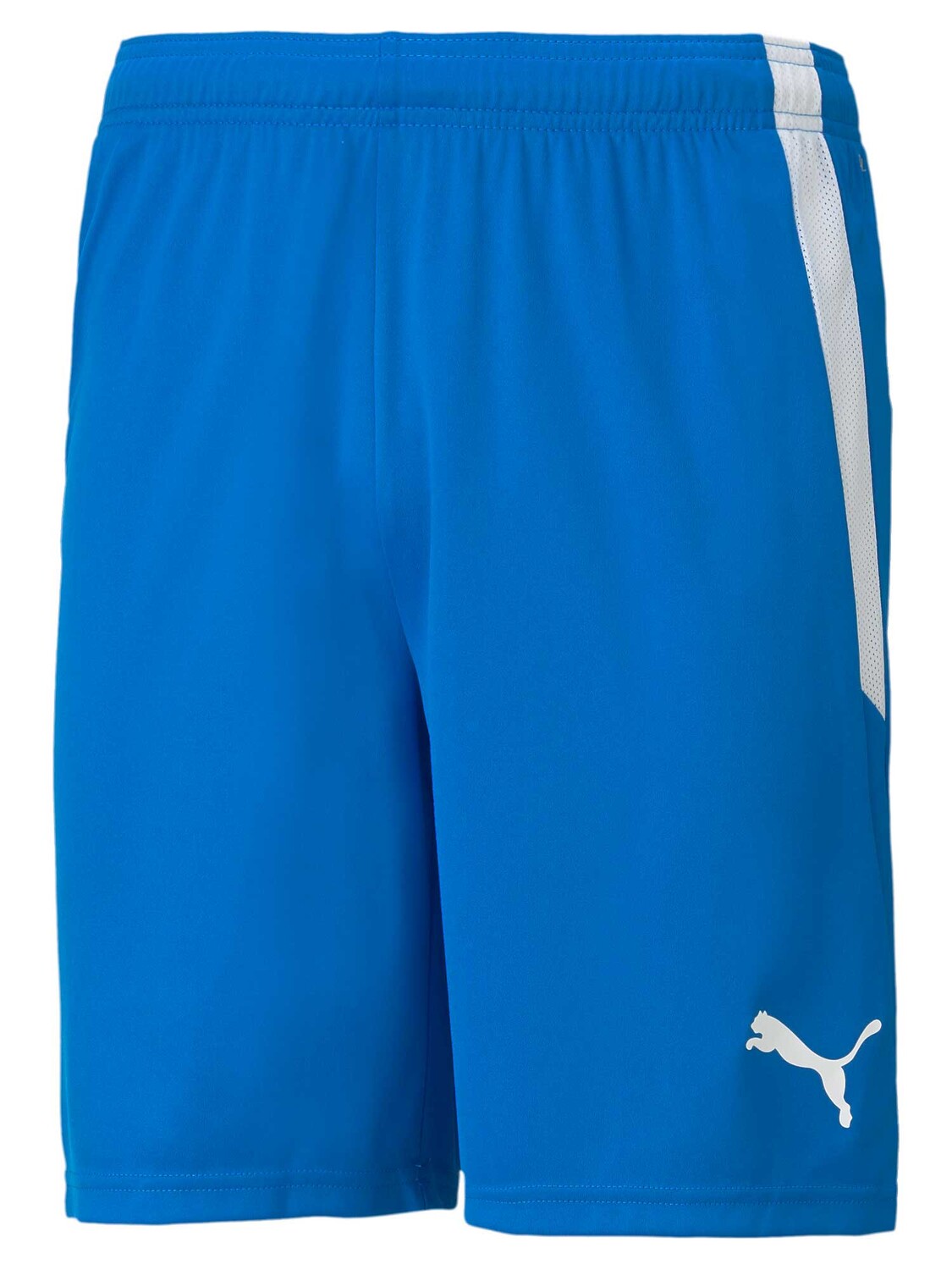 

Шорты Puma Team teamLIGA, синий