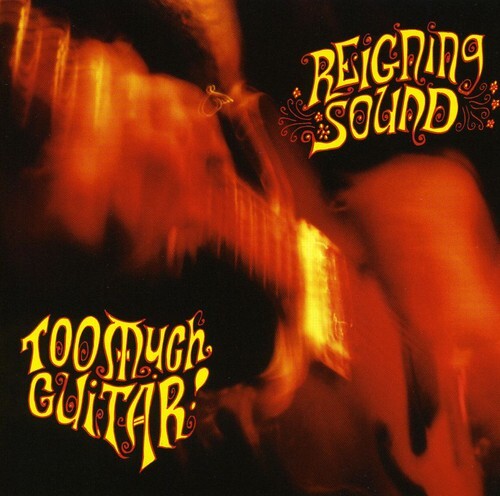 

CD диск Reigning Sound: Too Much Guitar