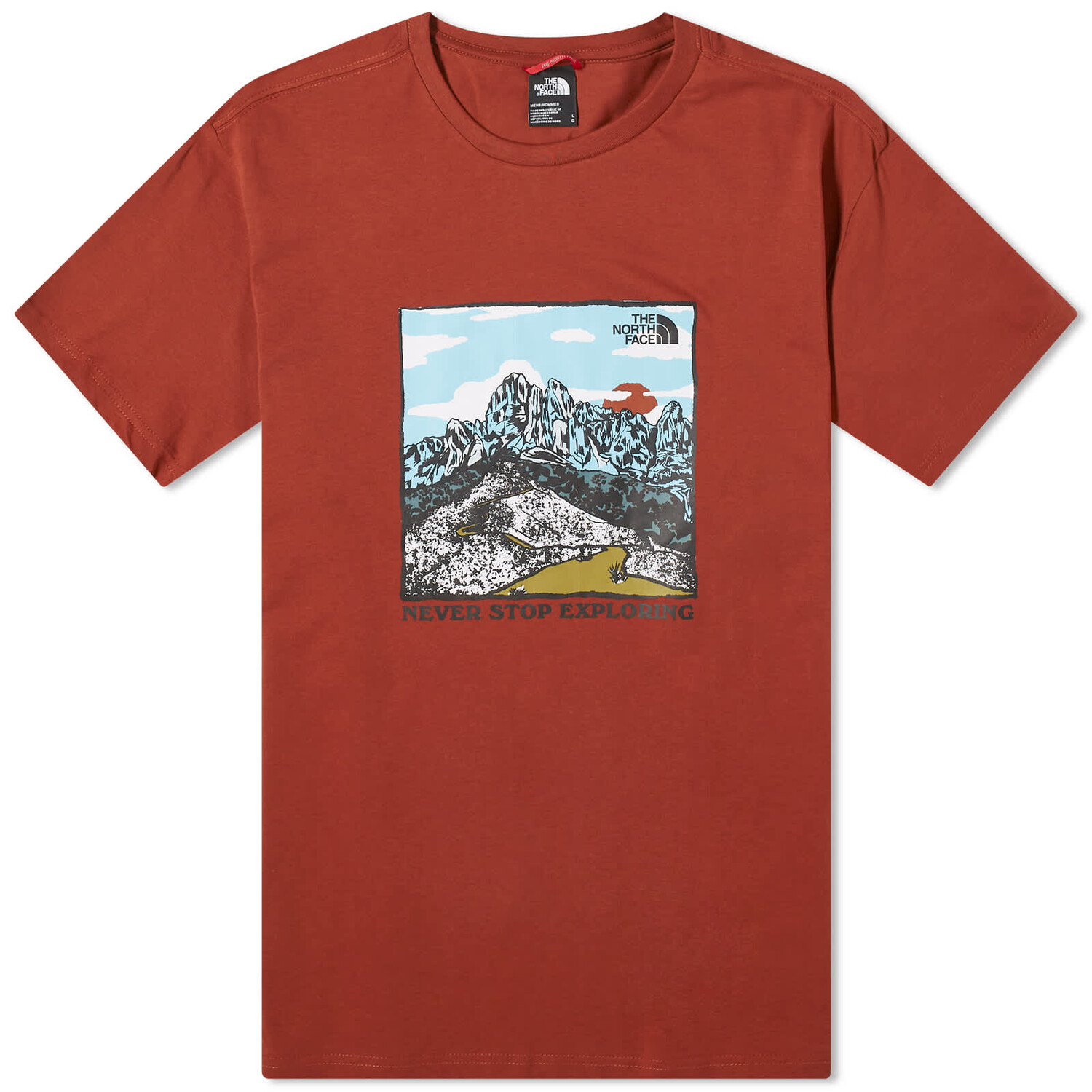 

Футболка The North Face Graphic, цвет Brandy Brown