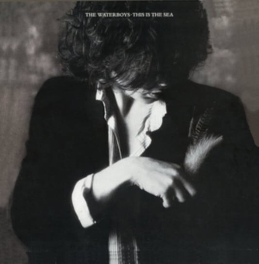 Виниловая пластинка The Waterboys - This Is The Sea warner music the replacements the twin tone years 4lp