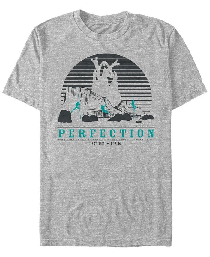 

Мужская футболка с короткими рукавами Tremors Perfection Sunset Fifth Sun, серый