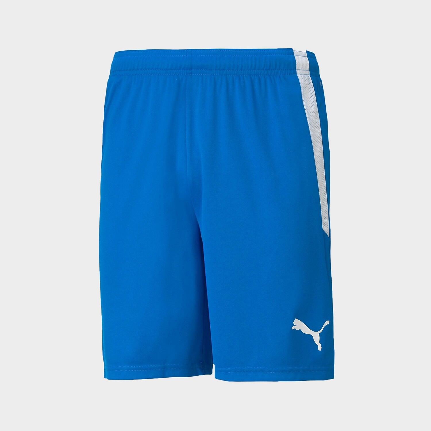 

Мужские футбольные шорты Puma teamLIGA, синий