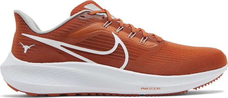 Nike zoom 2024 pegasus gravity