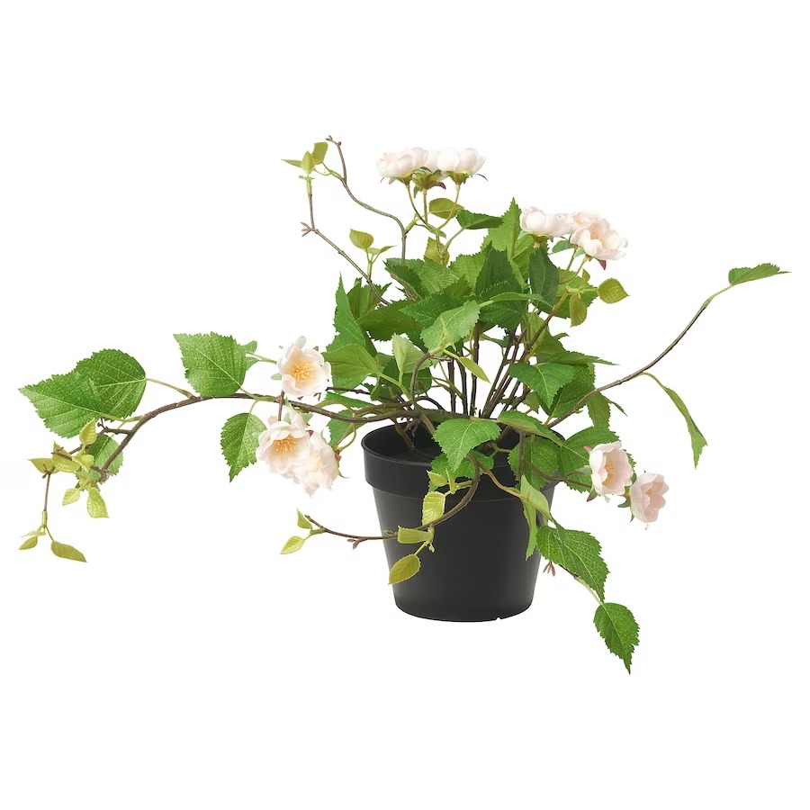 цена Искусственное растение роза Ikea Fejka For Indoor Outdoor Use, светло-розовый, 12 см