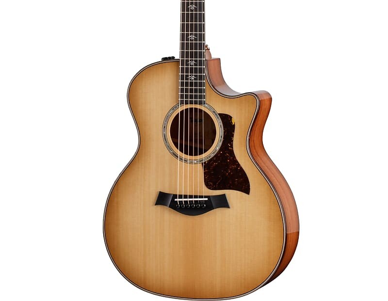 

Taylor 514ce Urban Ironbark/Torrefied Sitka с чехлом