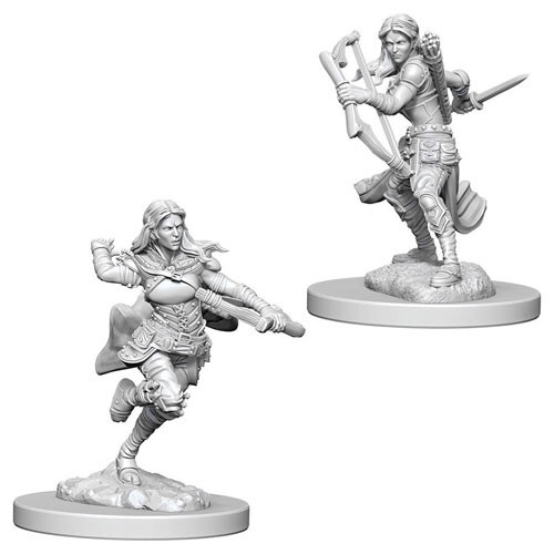 

Миниатюра WizKids/NECA D&D Nolzur's Marvelous Unpainted Minis: W4 Female Air Genasi Rogue