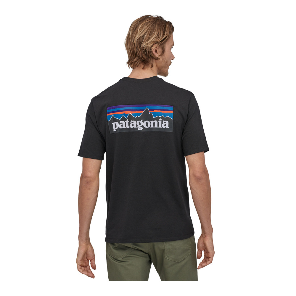 Patagonia t Shirt. Patagonia одежда. Patagonia Trail Running футболка. Patagonia футболка мужская.