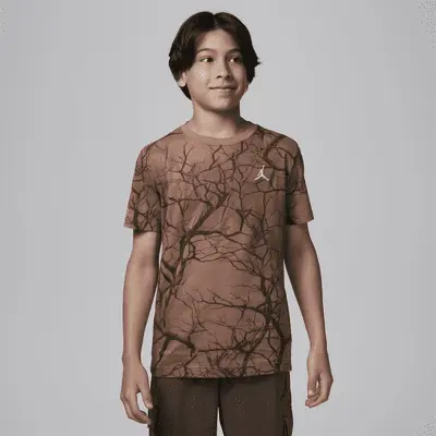 

Футболка Jordan Big Kids' Family Tree Printed T-Shirt, цвет Archaeo Brown