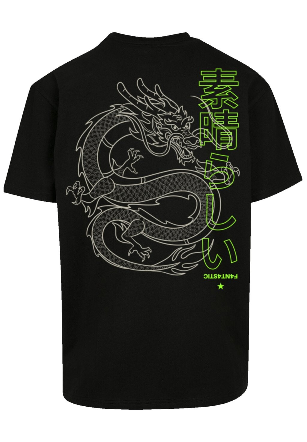 

Футболка с принтом DRACHE DRAGON JAPAN F4NT4STIC, цвет schwarz