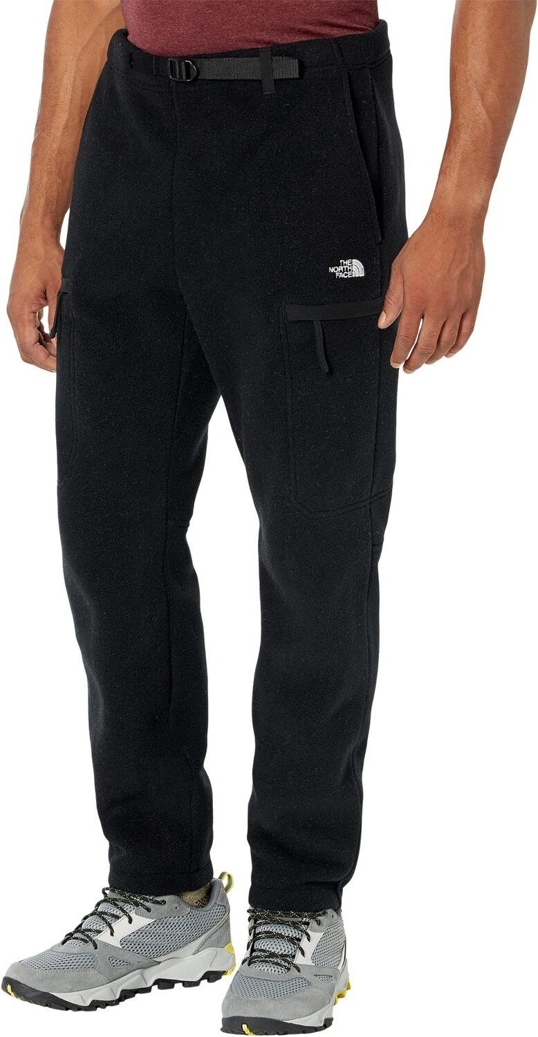 

Брюки Alpine Polartec 200 The North Face, цвет TNF Black/TNF Black