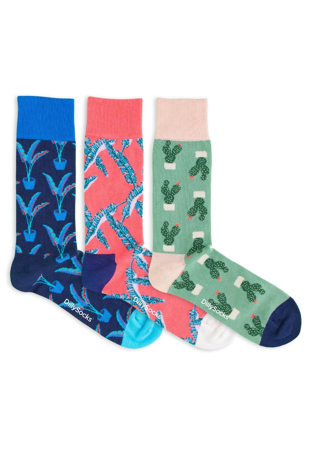 

Носки GIFT BOX 3 PACK DillySocks, мультиколор