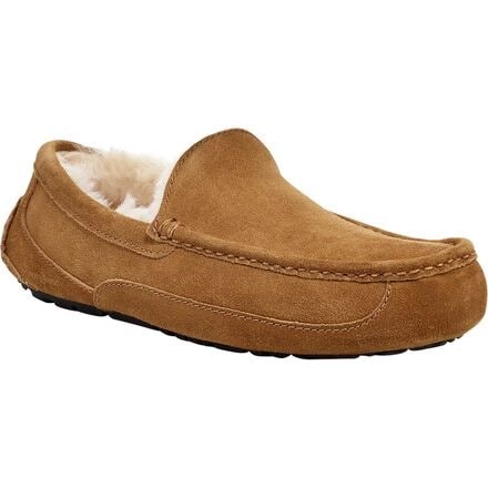 

Замшевые тапочки Ascot мужские UGG, цвет Chestnut
