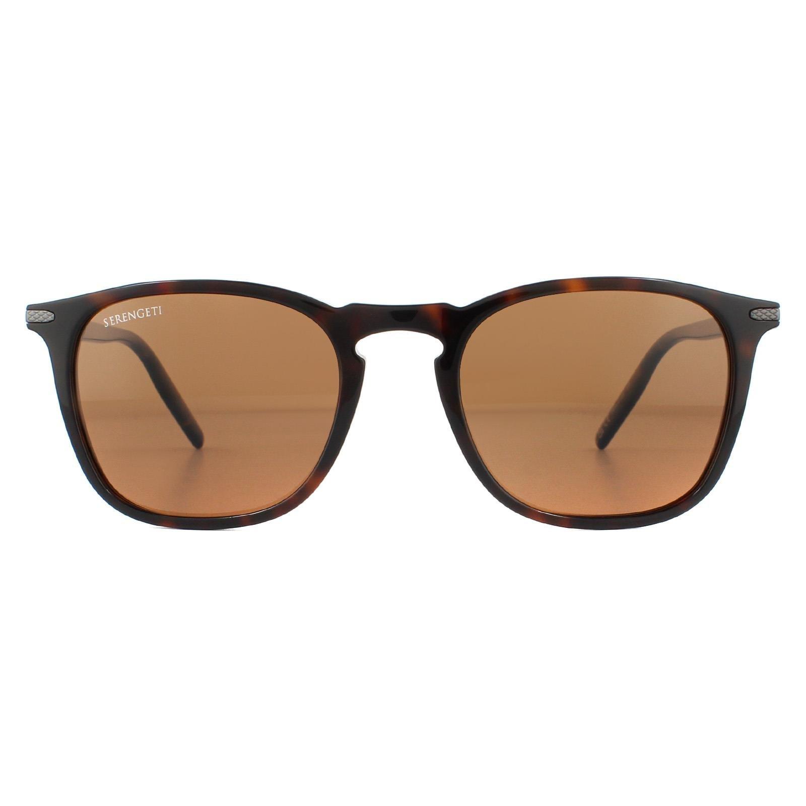 Круглые блестящие темные гаванские минеральные поляризованные коричневые солнцезащитные очки для водителей Serengeti, коричневый