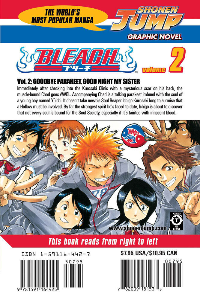 

Манга BLEACH Manga Volume 2