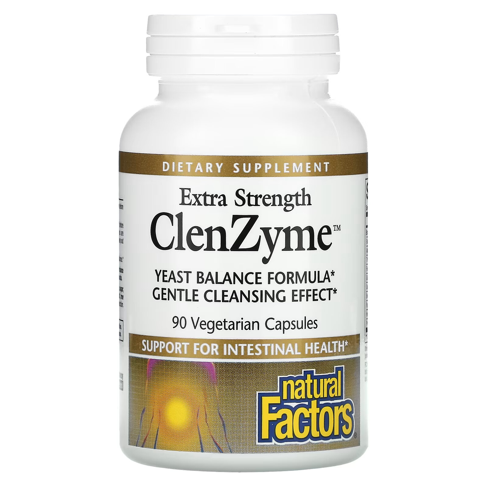 Natural Factors, Сверхмощный ClenZyme, 90 вегетарианских капсул - фото