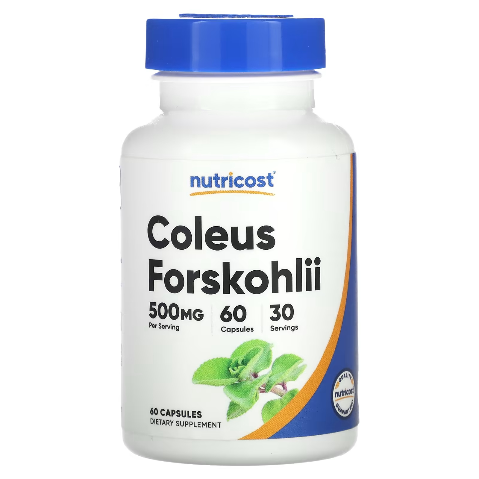 цена Пищевая добавка Nutricost Coleus Forskohlii 500 мг, 60 капсул