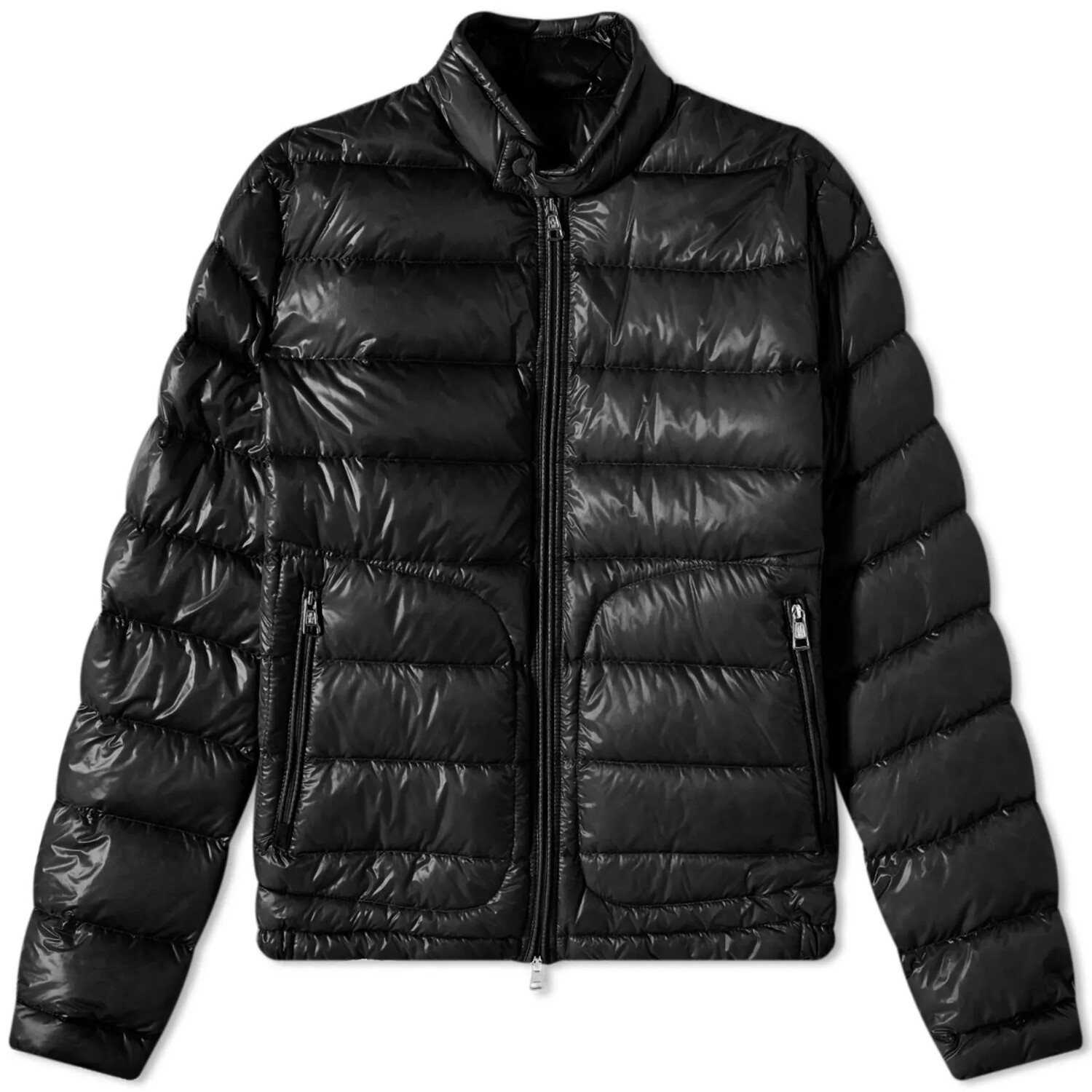 Acorus moncler sale