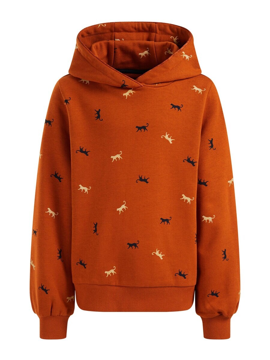 

Толстовка WE Fashion, оранжевый