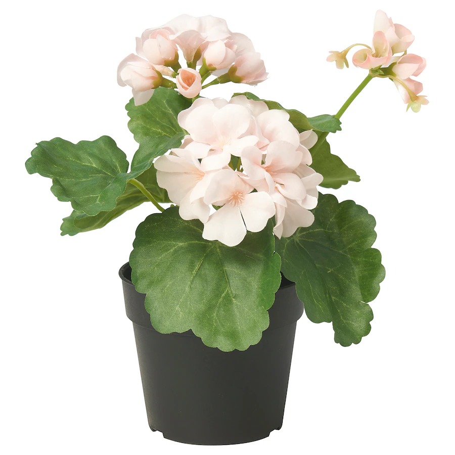 цена Искусственное растение пеларгония Ikea Fejka Indoor Outdoor, светло-розовый, 9 см