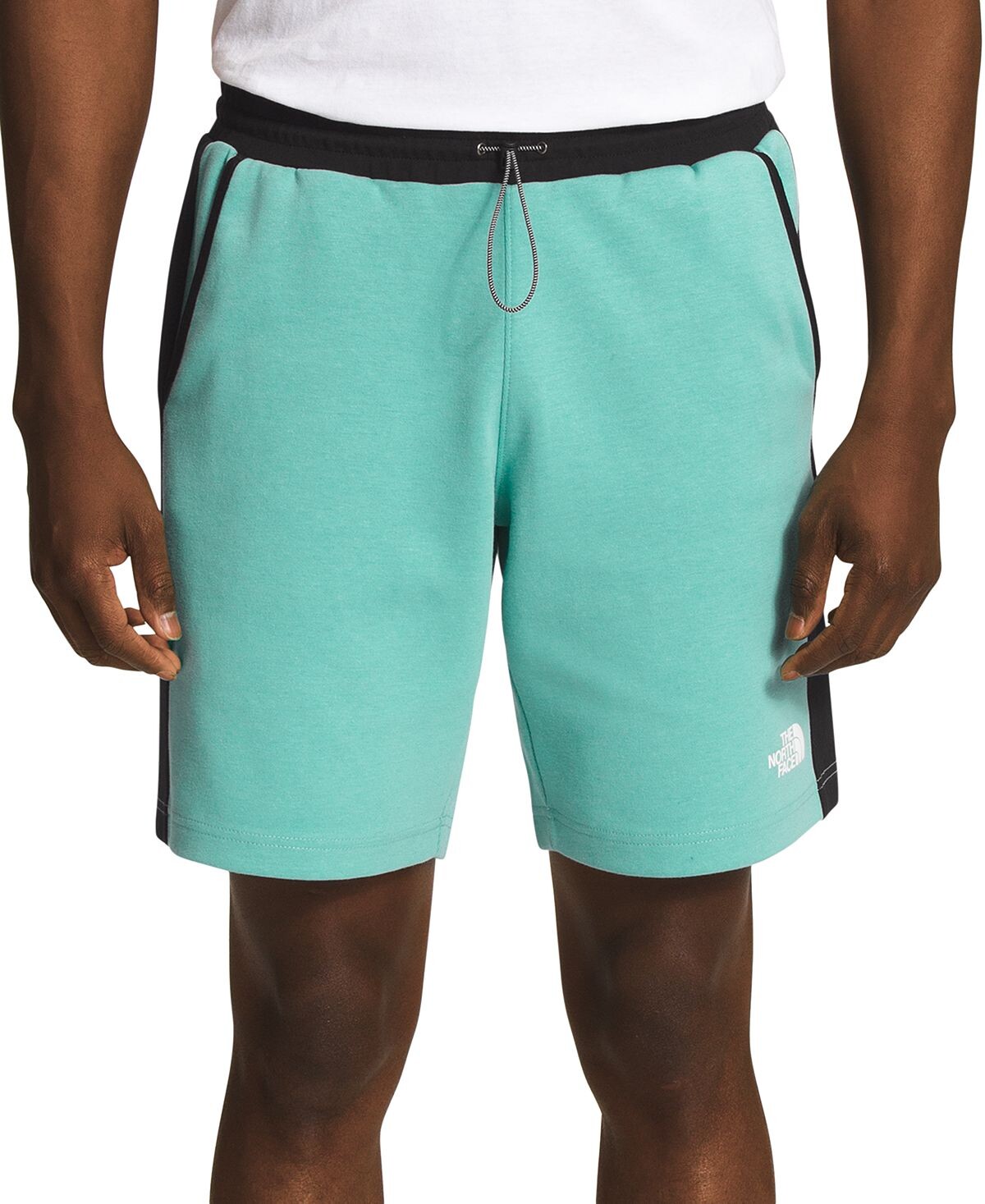 

Мужские шорты tnf tech The North Face