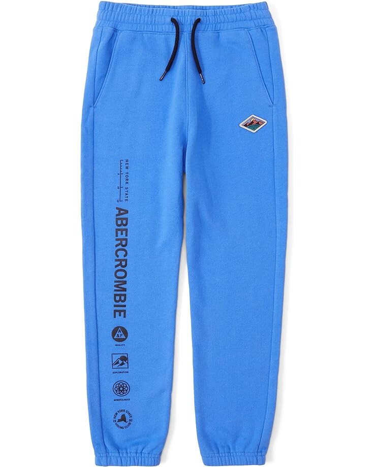 

Брюки Abercrombie Logo Easy-Fit Sweatpants, синий