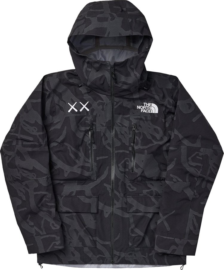 Куртка The North Face x KAWS Freeride Jacket 'Black Dragline Print', черный цена и фото