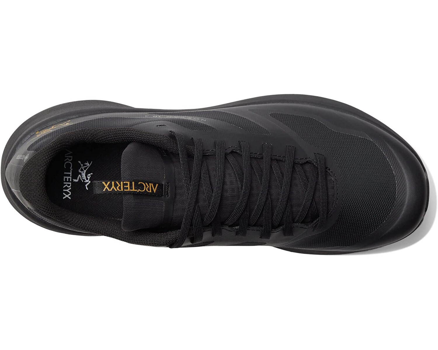 Кроссовки Norvan LD 3 GTX Arc'teryx, черный