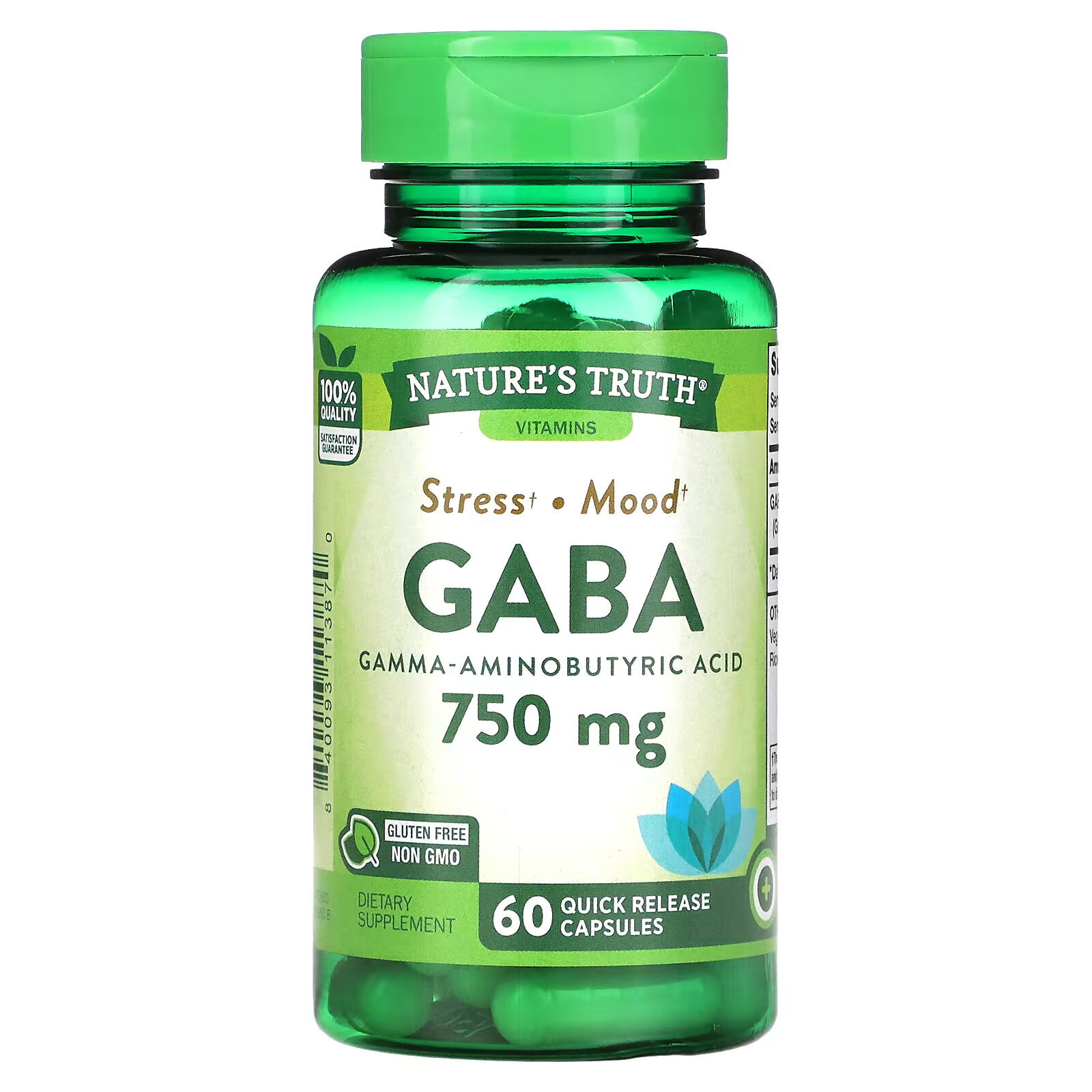 Nature's Truth, Gaba, гамма-аминомасляная кислота, 750 мг, 60 капсул с быстрым высвобождением nature s truth дгэа 50 мг с быстрым высвобождением 60 капсул