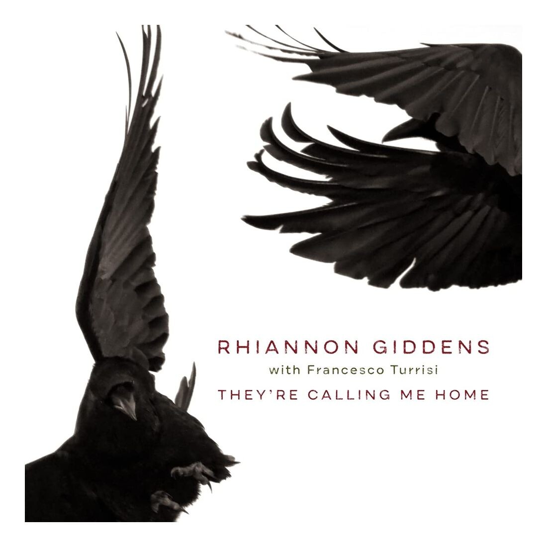 

Виниловая пластинка They're Calling Me Home | Rhiannon Giddens