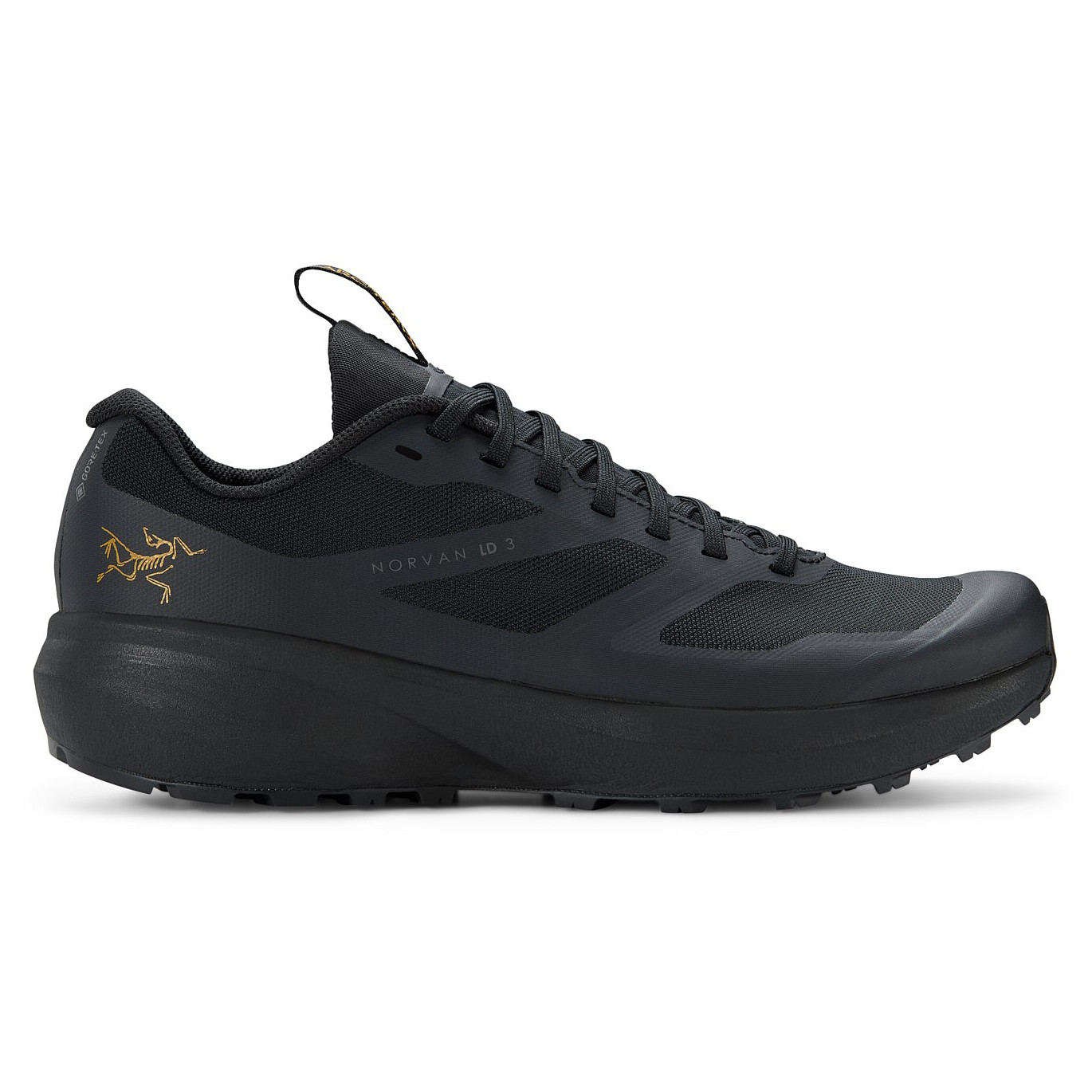 Кроссовки для бега по пересеченной местности Arc'Teryx Norvan LD 3 GTX, цвет Black/Black