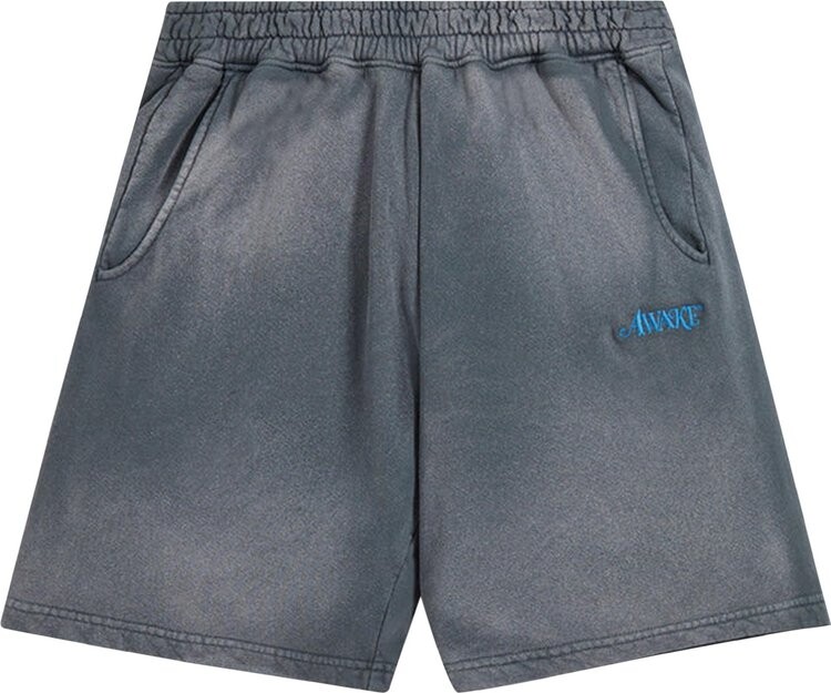 

Шорты Awake NY Classic Logo Shorts 'Light Blue', синий