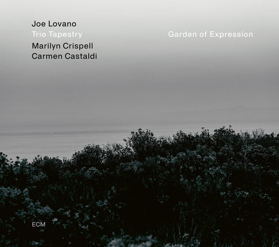 Виниловая пластинка Lovano Joe - Garden Of Expressions