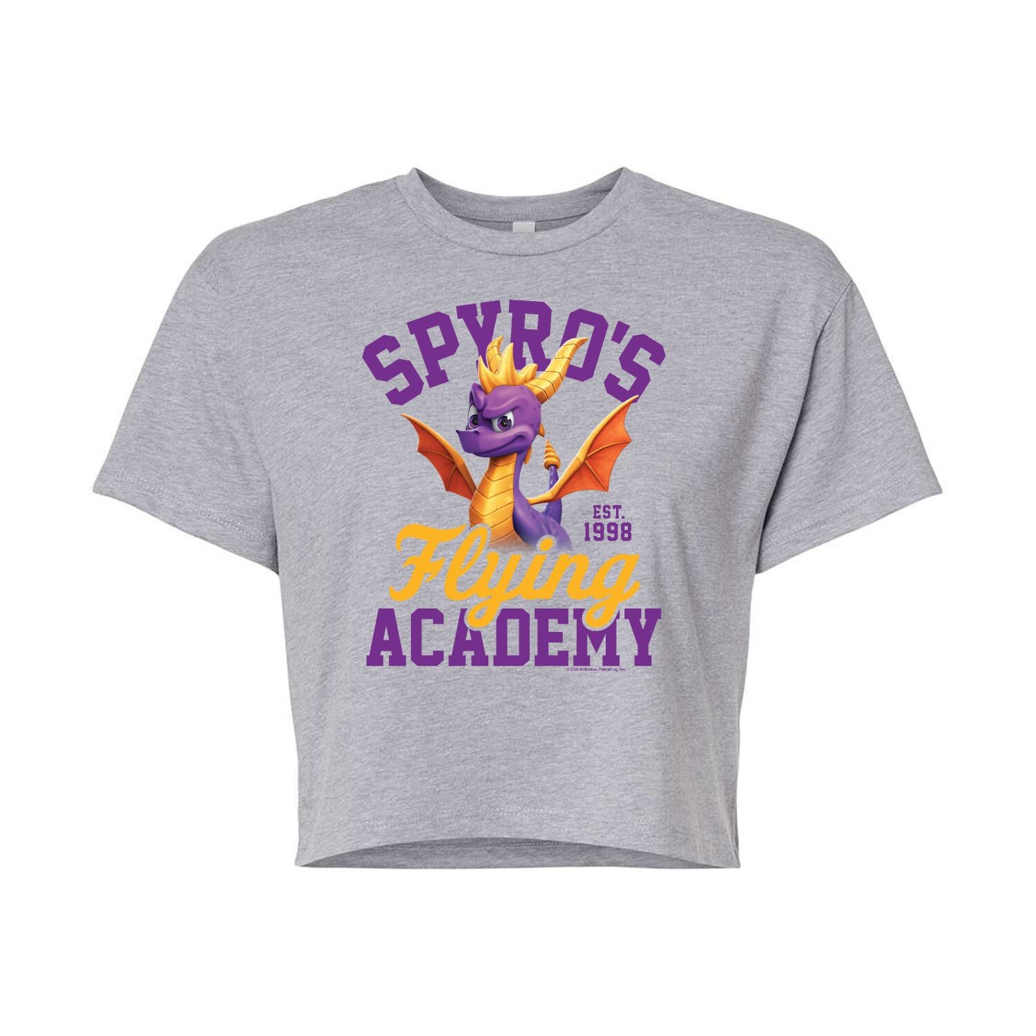 

Укороченная футболка с рисунком Spyro Academy для юниоров Licensed Character, серый